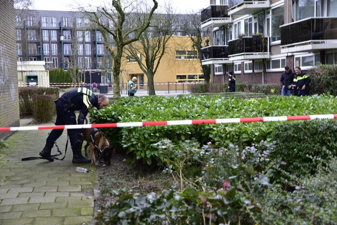 De politie doet onderzoek in de buurt.