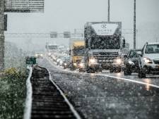 A12 slibt volledig dicht: méér files dan voor corona maken snelweg landelijk ‘filekoploper’