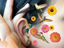 Kun je genezen van tinnitus, of leer je ermee leven?