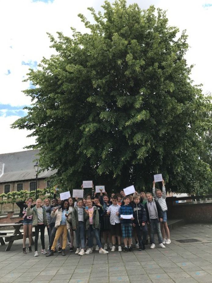 Ook basisschool De Kei organiseerde al een erfgoedactie.