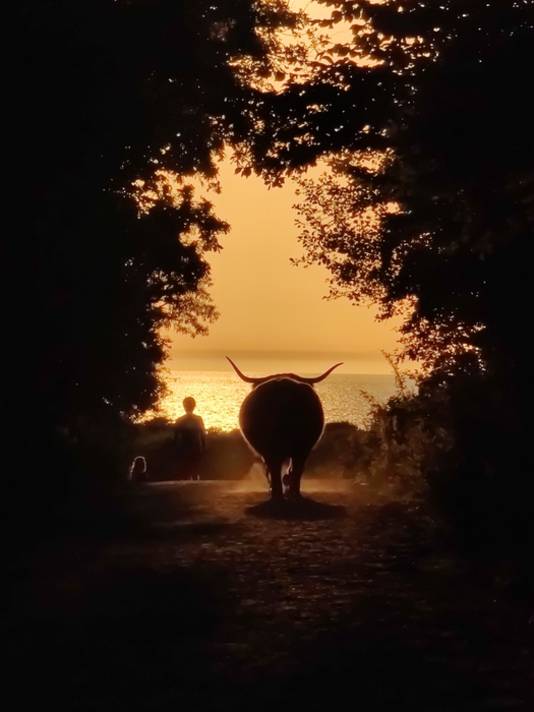 Uniek moment in de Haagse Duinen. Dit vast willen leggen en dan zo'n mooi resultaat.