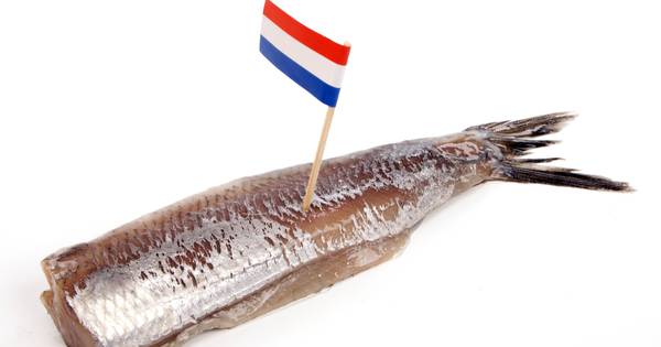 Hollandse Nieuwe voor bewoners Notenhoff en Wijkestein