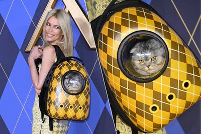 Claudia Schiffer beschuldigd van dierenmishandeling: “Katten hebben niets te zoeken op een rode loper”