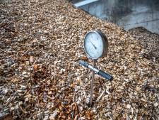 Biomassacentrale in Ede vist achter het net bij rechter: dwangsom voor stankoverlast blijft staan