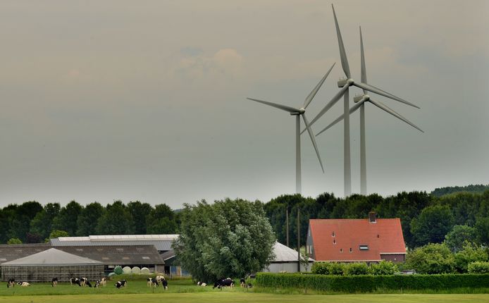 Windmolens bij Culemborg.