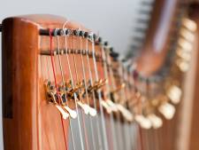 Brabants Harpweekend in de Hofnar