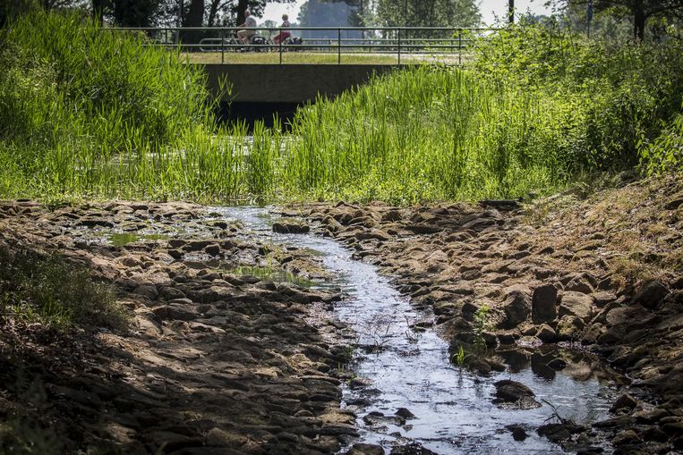 De waterstand in de Hagmolenbeek bij het Twentse Beckum is lager dan normaal. Beeld ANP