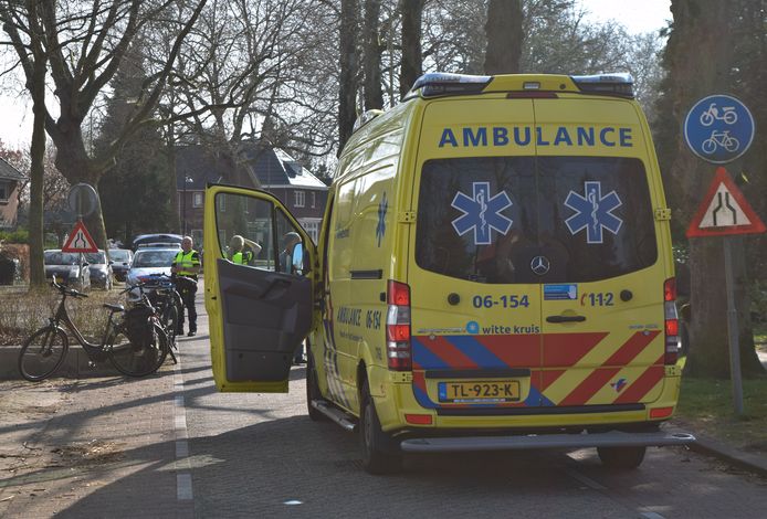 De hulpdiensten rukten uit voor de fietser die tegen een paaltje knalde in Doetinchem. De vogel zat in de fietstas (zie foto).