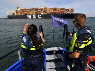 Duizenden havenmedewerkers moeten bewijzen dat ze geen crimineel verleden hebben