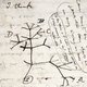 Notitieboekjes van Charles Darwin ‘waarschijnlijk gestolen’