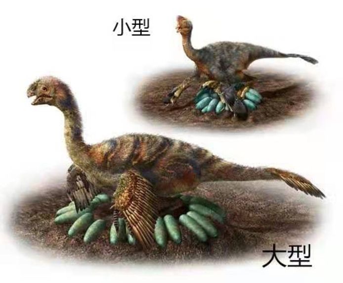 Afbeelding van een broedende oviraptor.