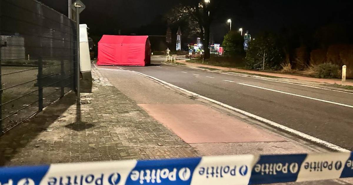 Fietsertje overlijdt na aanrijding door vrachtwagen in Hoogstraten, net over de Belgische grens.