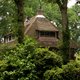 Filosoof  en fanatiek rijtjeshuisbewoner Pieter Hoexum ontdekte de aaibaarheid van een rieten dak
