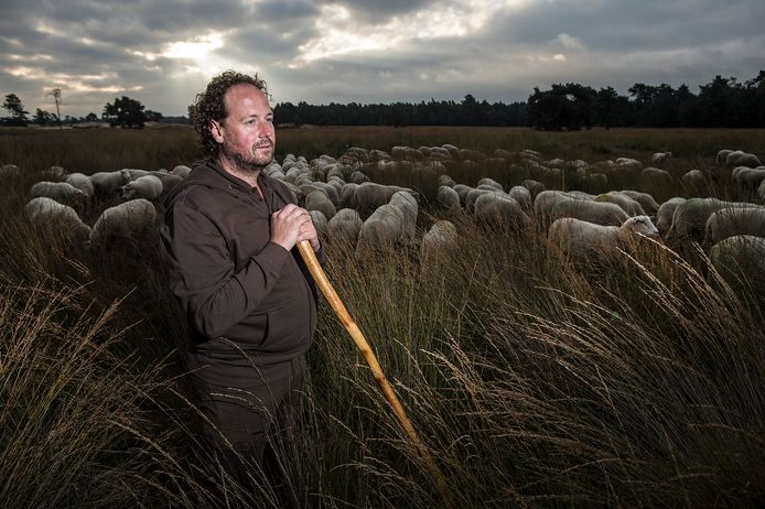 Bart van Ekkendonk, woordvoerder van de Vereniging Gescheperde Schaapskudden Nederland, vindt dat schaapherders niet goed gehoord worden.