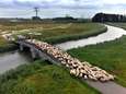 Bak met water uit Limburg stroomt zo de Biesbosch in komende dagen: ‘Dit is waar het gebied voor bedoeld is’