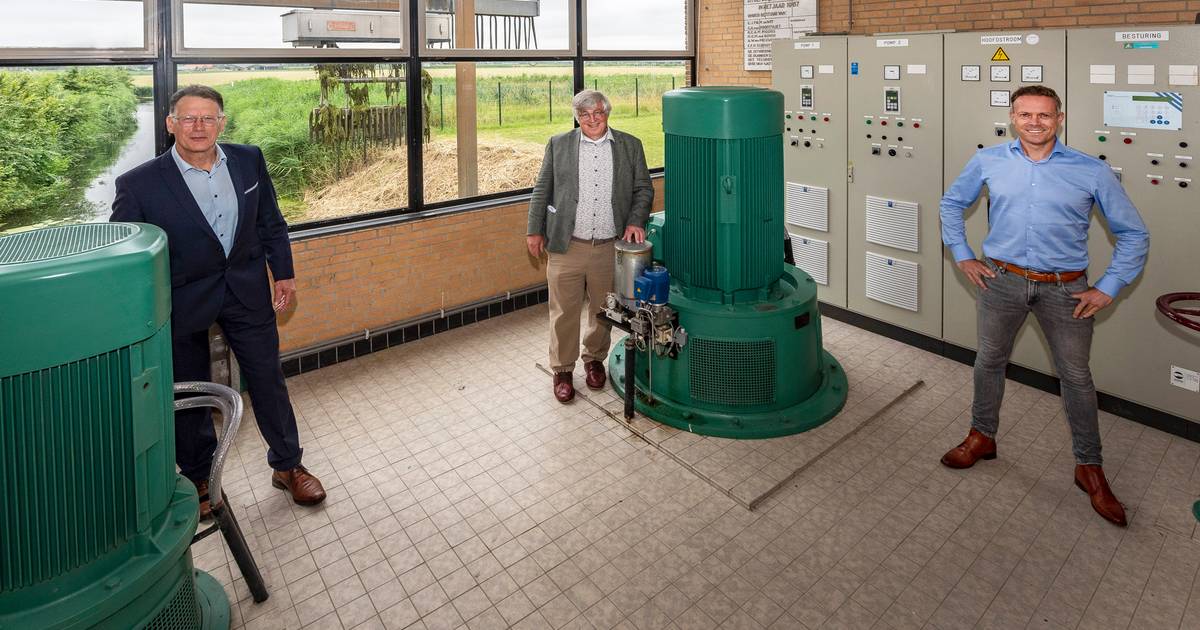 Sluizen en stuwen worden visvriendelijk: 'Vissen zitten al jaren in lockdown en wij gaan ze bevrijde