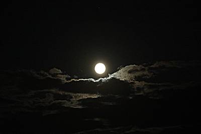 Wandelen bij volle maan in De Groote Peel