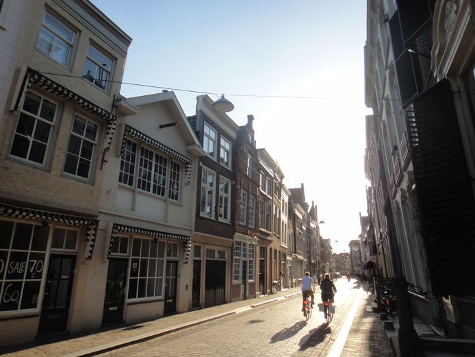 Rustig wonen en tóch het beste van twee werelden: het centrum van Dordrecht en de Biesbosch dichtbij.