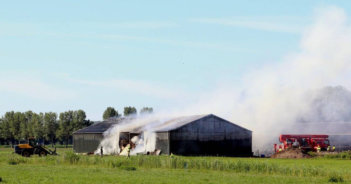 Grote brand in schuur van agrarisch bedrijf in Delwijnen