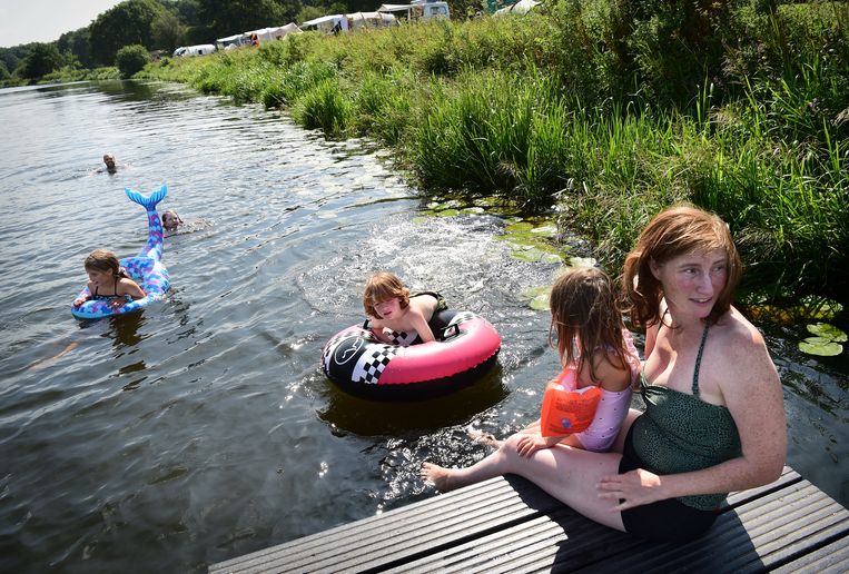 Niet overal in Nederland is het zwemwater van goede kwaliteit, maar bij camping De Roos in Beerze gelukkig wel. Beeld Marcel van den Bergh / de Volkskrant