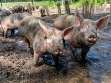 Impuls voor Herenboerderijen, waar burgers het heft in handen hebben