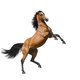 Via platform Horsify kun je andermans paarden leasen