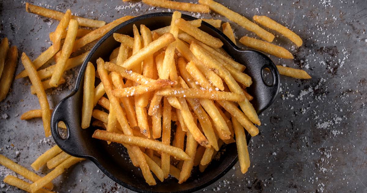 Airfryer echt veel gezonder dan frituur? Dit zeggen de experts