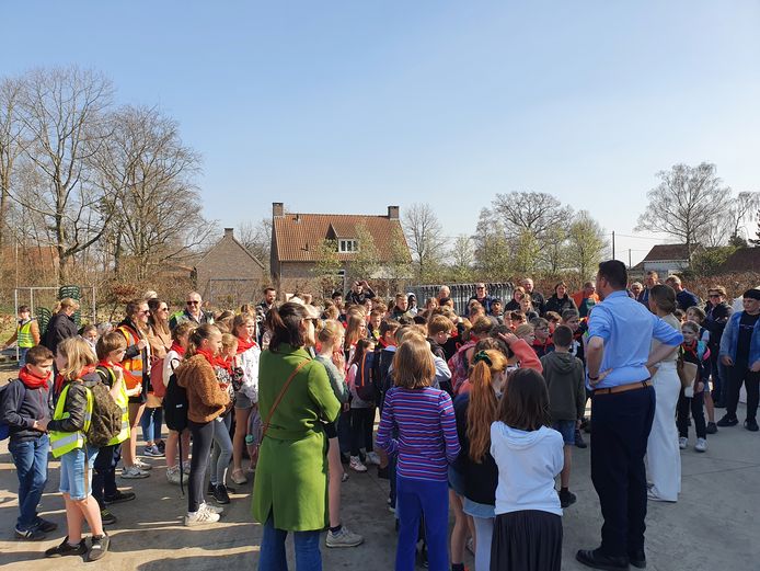 Meer dan 200 kinderen van de lagere scholen in Hoogstraten kwamen vrijdag naar de boerderij van Jef Ryvers in Castelré.