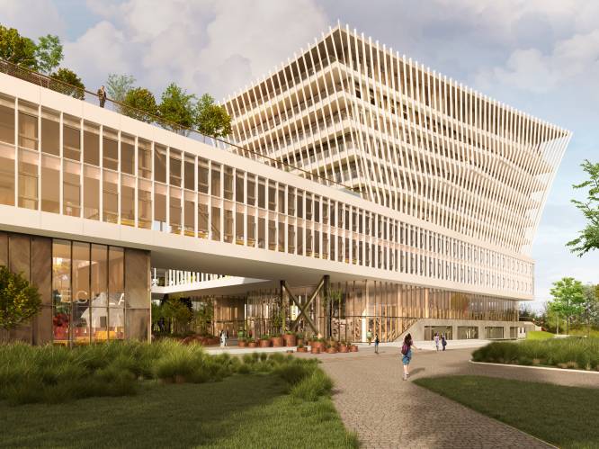 Maritieme Campus Antwerpen nabij Hobokense Polder krijgt geen vergunning