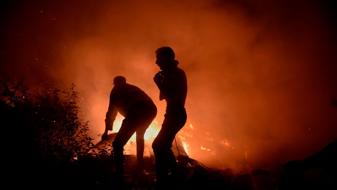 Brandweerlieden en vrijwilligers proberen het vuur in Vigo te bestrijden.