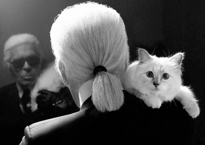 Karl Lagerfeld en Choupette.