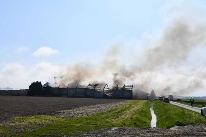 De loods brandde volledig uit.