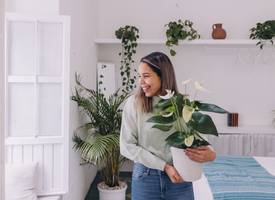 5 planten die je slaap kunnen bevorderen