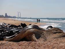 Israël sluit alle stranden na 'enorme ecologische ramp’