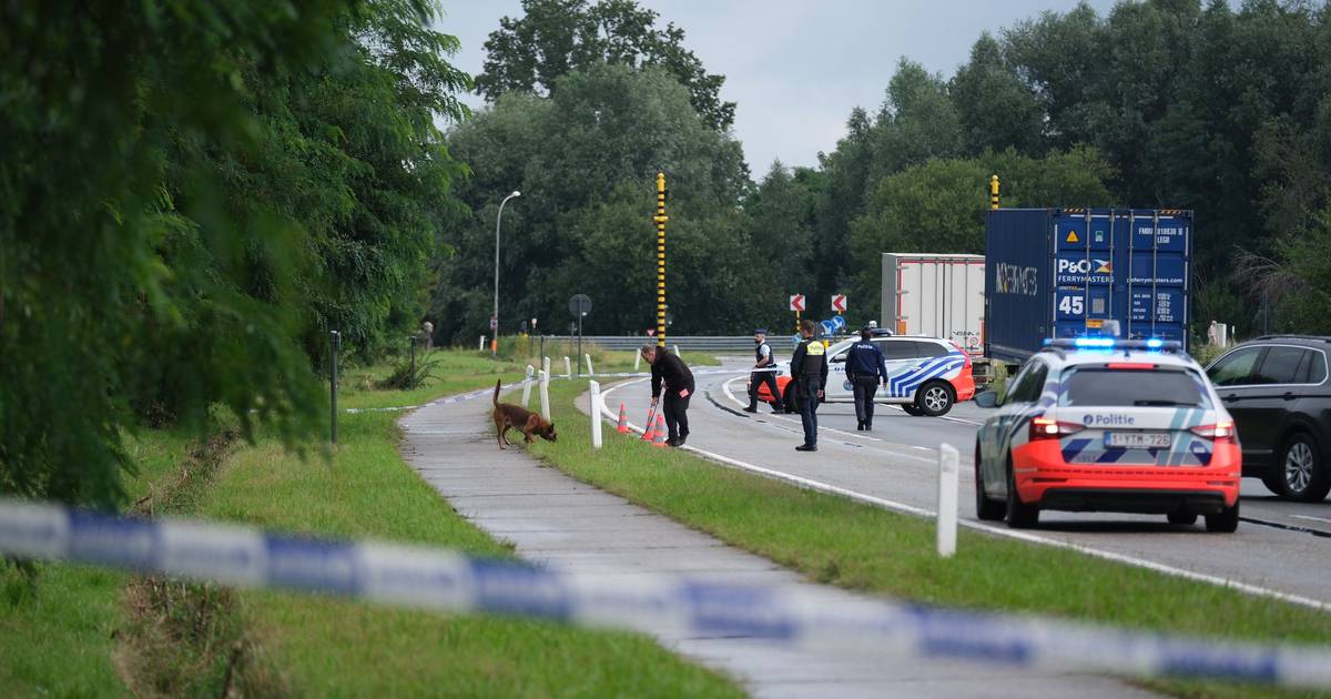 “Heeft het slachtoffer niet gewoon zelf in zijn been geschoten ...