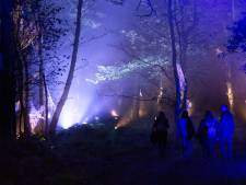 La “Forêt interdite” d’Harry Potter s’installera dès novembre à quelques minutes de Bruxelles