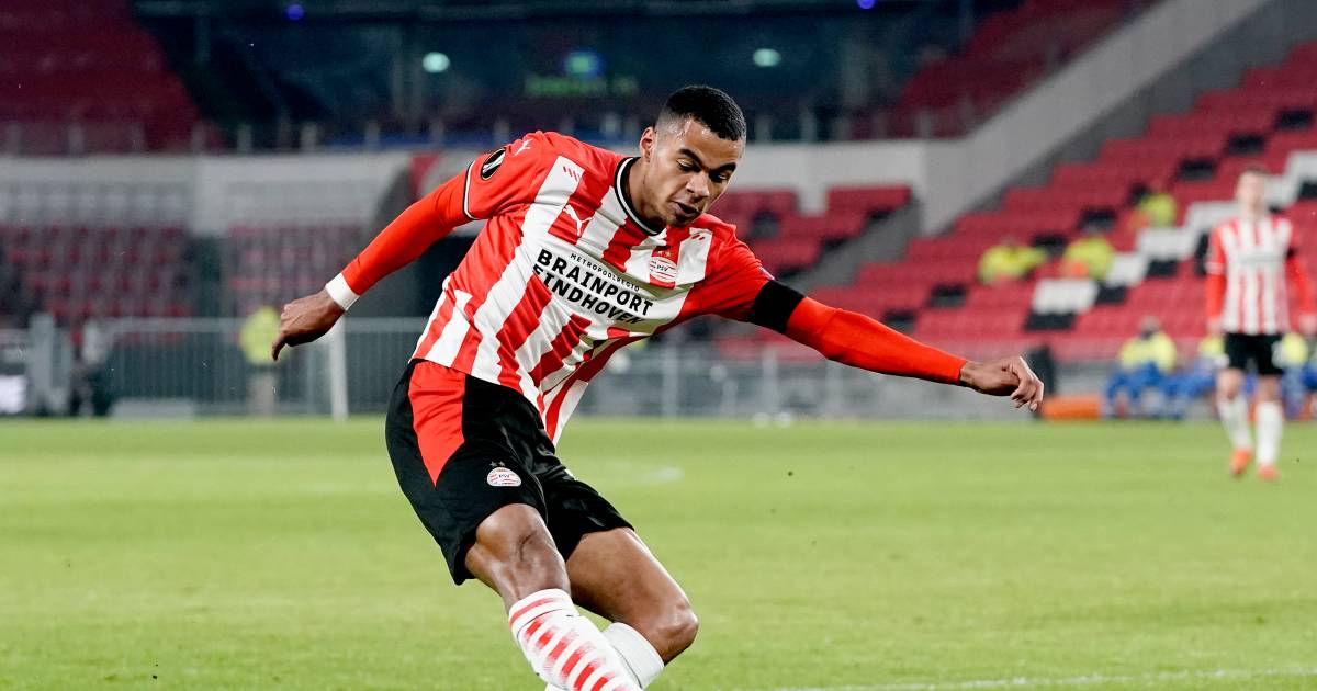 Psv Rewards Gakpo S Stormy Development With New Contract Until 2025 Dutch Football Netherlands News Live