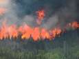 Bosbranden Canada legden sinds begin dit jaar al 6 miljoen hectare in de as