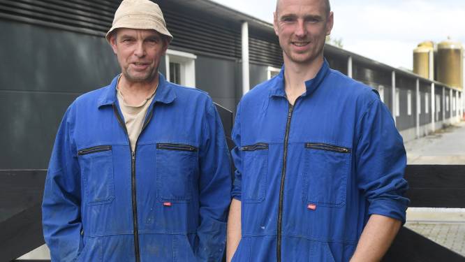 Varkensboer biedt stikstofrechten aan zodat Veere toch huizen kan bouwen. Wethouder: ‘Razend interessant’
