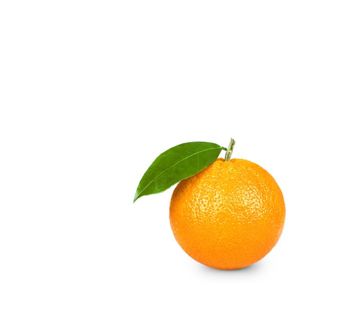 Shutterstock