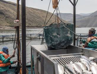 Elf opvarenden vermist nadat vissersboot zinkt nabij Kaap de Goede Hoop