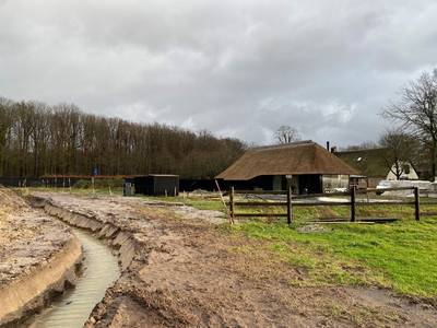 Man graaft illegale sloot, waterschap sleept hem voor de rechter: ‘Dit is waar we op hoopten’
