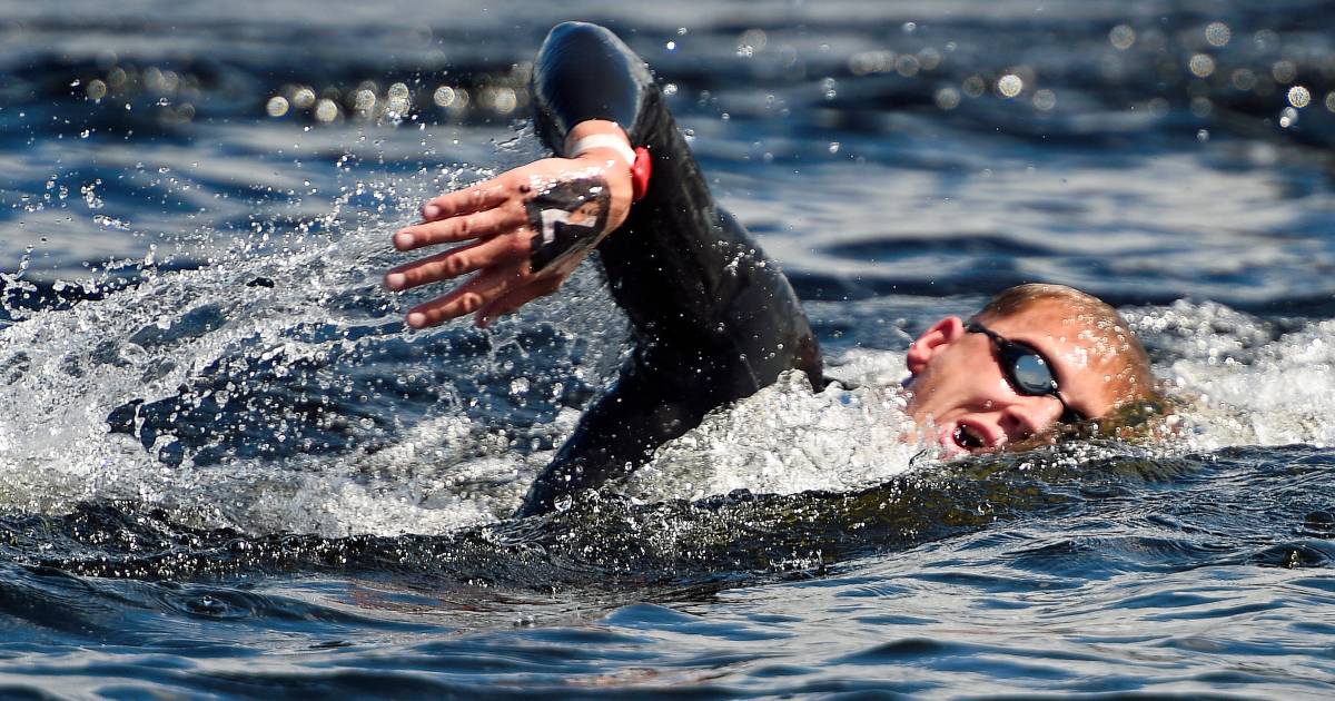 Weertman Is Unable To Win A Medal Upon Return To Open Water Other Sports Netherlands News Live