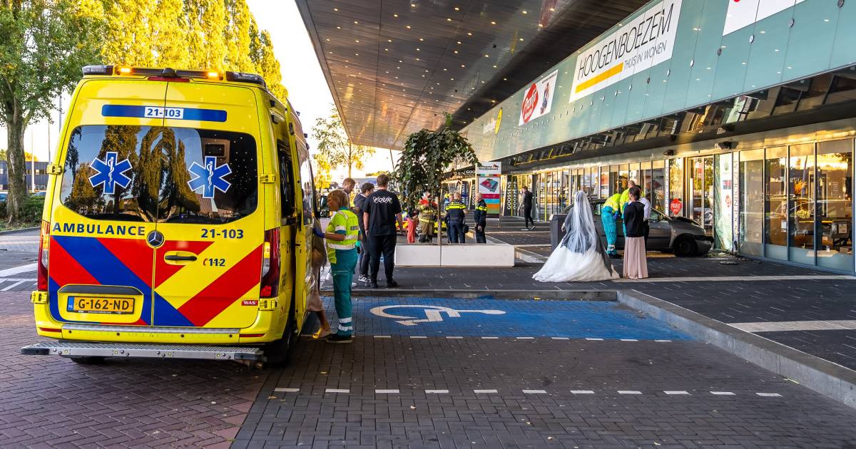 Bossche vrouw (19) knalt zonder rijbewijs op winkelpui, en wat deed bruidspaar daar?