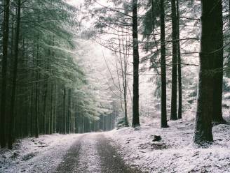 WEERBERICHT. Komende twee weken geleidelijk kouder: “Op hoger gelegen plaatsen in Ardennen neemt kans op wat sneeuw toe”