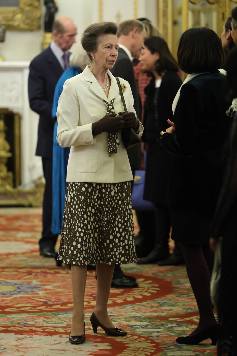 Prinses Anne tijdens de receptie in Buckingham Palace (2023) Beeld Getty Images