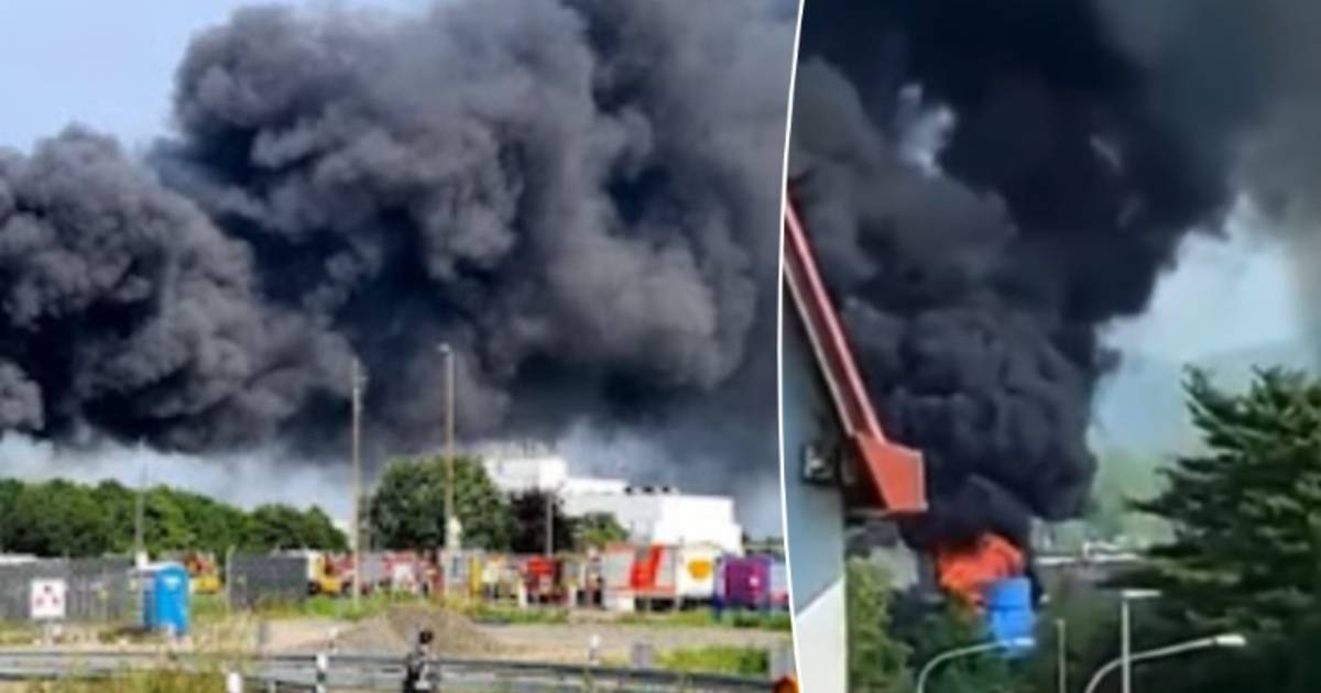 Cinque morti nell’esplosione di un impianto chimico in Slovenia |  all’estero