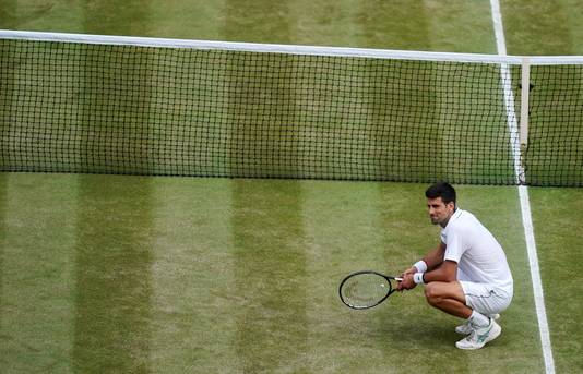 Djokovic op het 'Heilige Gras' vorig jaar.