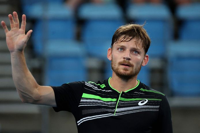 David Goffin.