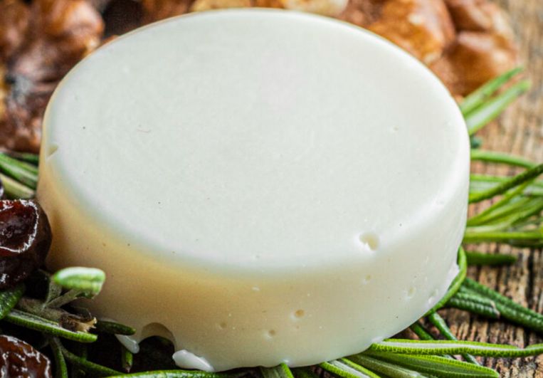 De kaas moet nog rijpen, maar is wel écht vegan. Beeld rv